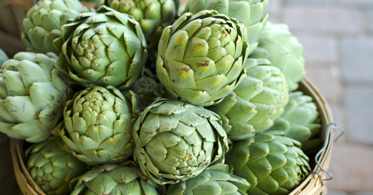 Japanilainen stressiä torjuva mukula: se juurtuu syksyllä ja tuottaa runsaan sadon ilman kasvihuonetta tai kastelua.