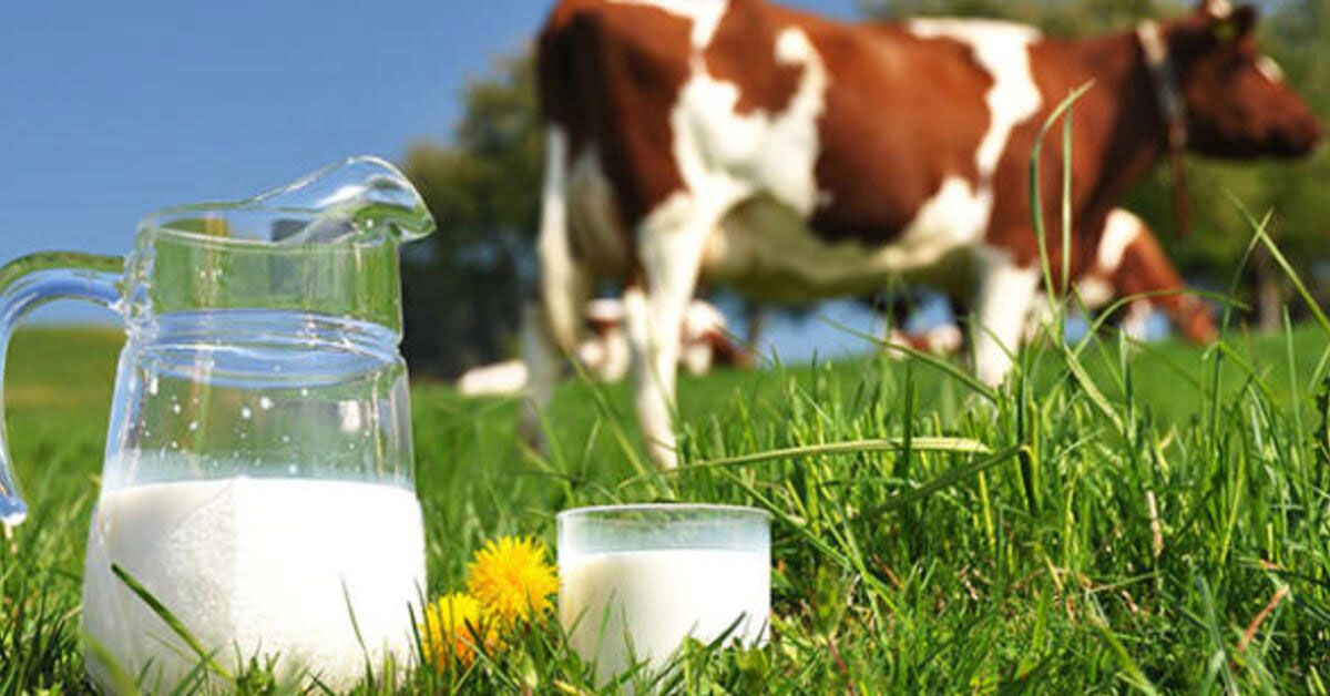 Mitä maata kutsutaan maailman maitopääkaupungiksi?