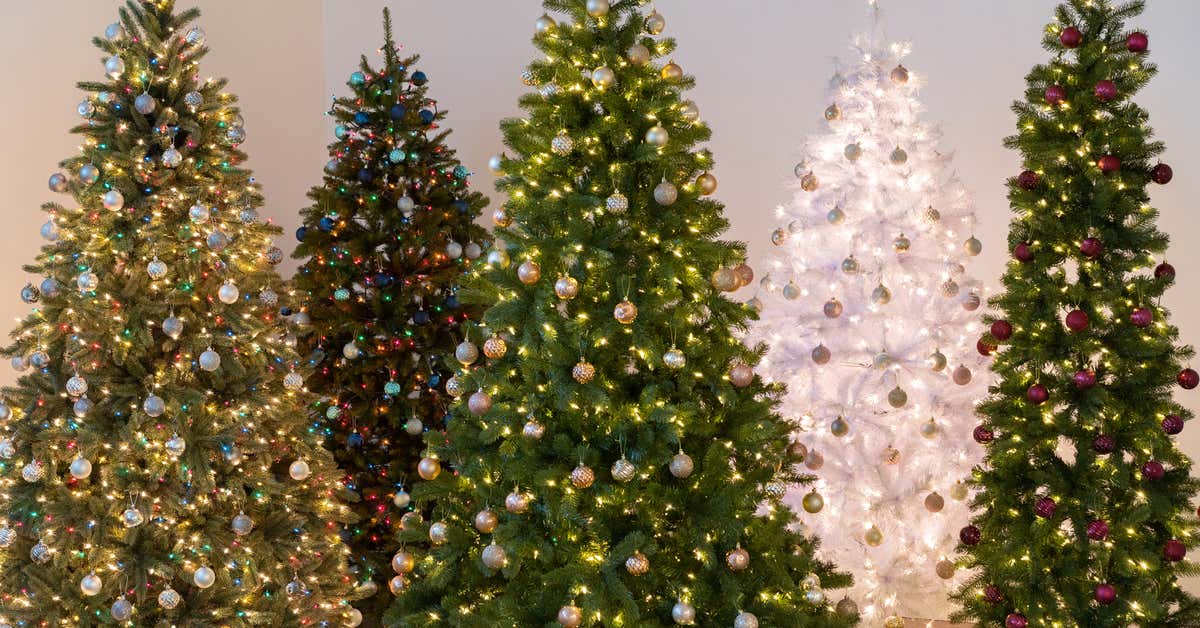 Vuonna 2010 72-vuotias mies osti umpeenkasvaneen joulukuusiviljelmän – nyt tätä paikkaa voidaan kutsua perheen käyntikortiksi.