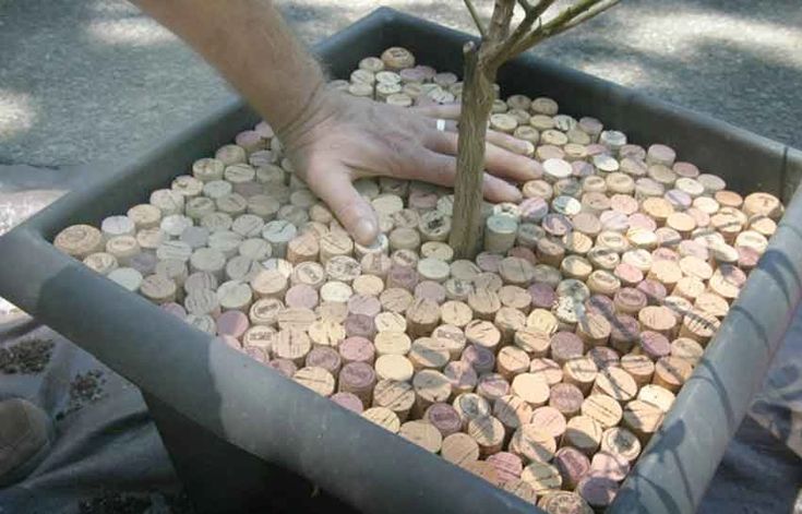 Kukkaruukkujen sulkeminen tulpilla: miksi se on tarpeen ja mitkä ovat sen edut