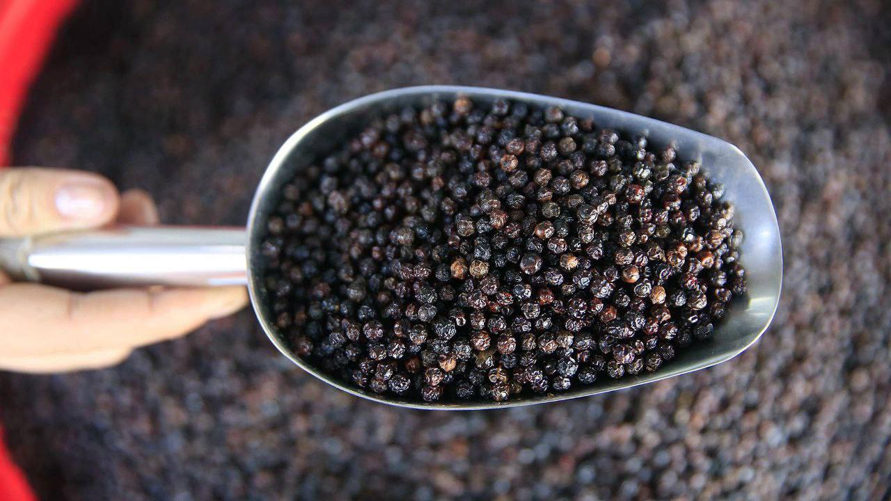 Juo joka aamu vettä, johon on lisätty pieni määrä tätä maustetta, ja huomaa, kuinka tämä seos polttaa rasvaa nopeasti.