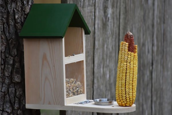 linnunruokintapaikoiksi