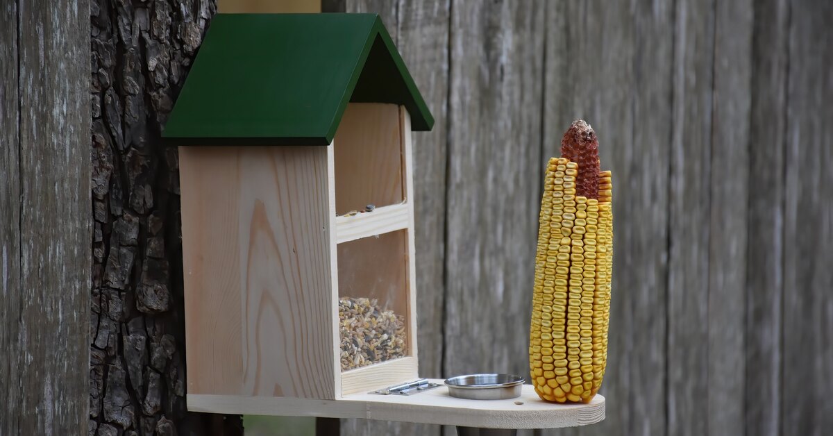 linnunruokintapaikoiksi