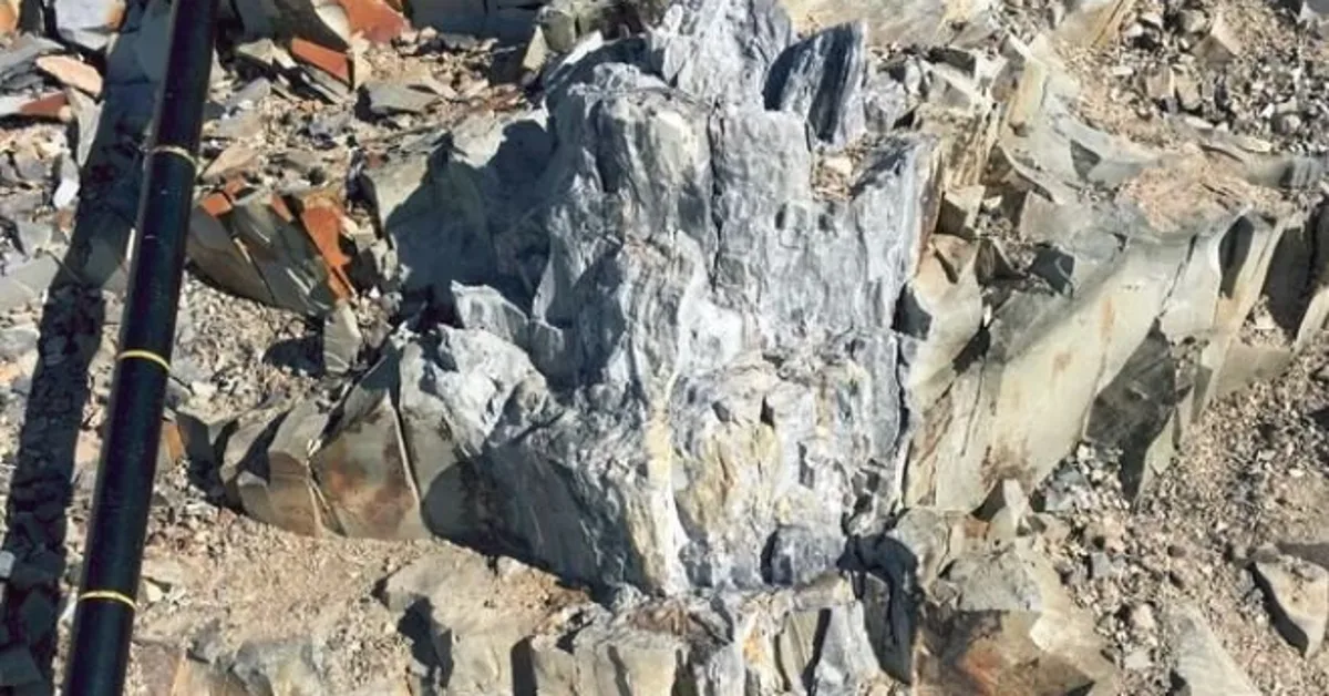 Mikään ei voi verrata tähän: Antarktikasta on löydetty fossiileja ainutlaatuisesta kasvista, joka eli dinosaurusten aikakaudella.