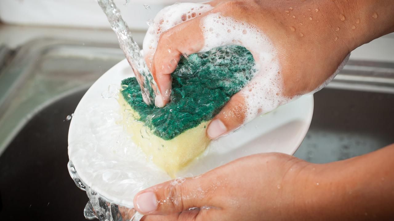 Miksi keittiösienet ovat bakteerien pesäpaikka ja miksi niitä ei saa koskaan jättää pesualtaaseen?