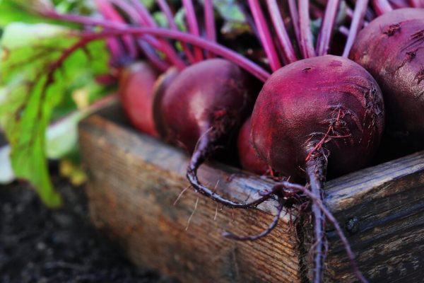 urheilusuorituskyvyn