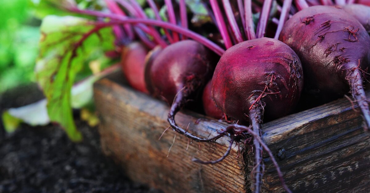 urheilusuorituskyvyn