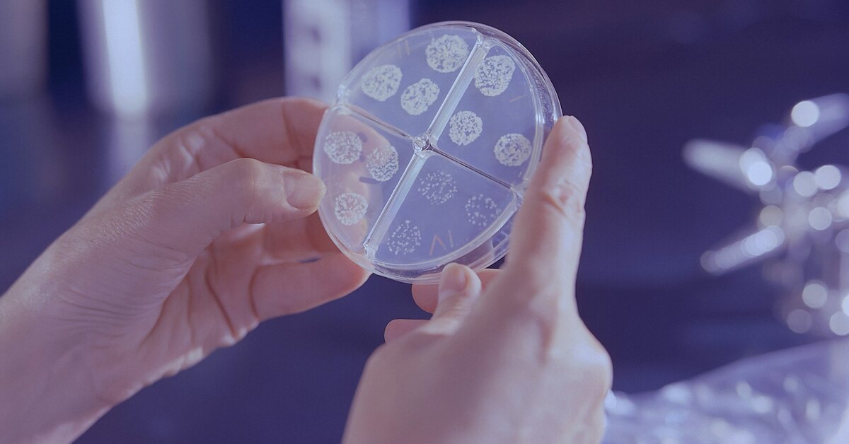 Sienen löytäminen, joka voi pelastaa planeetan, yllätti tutkijat