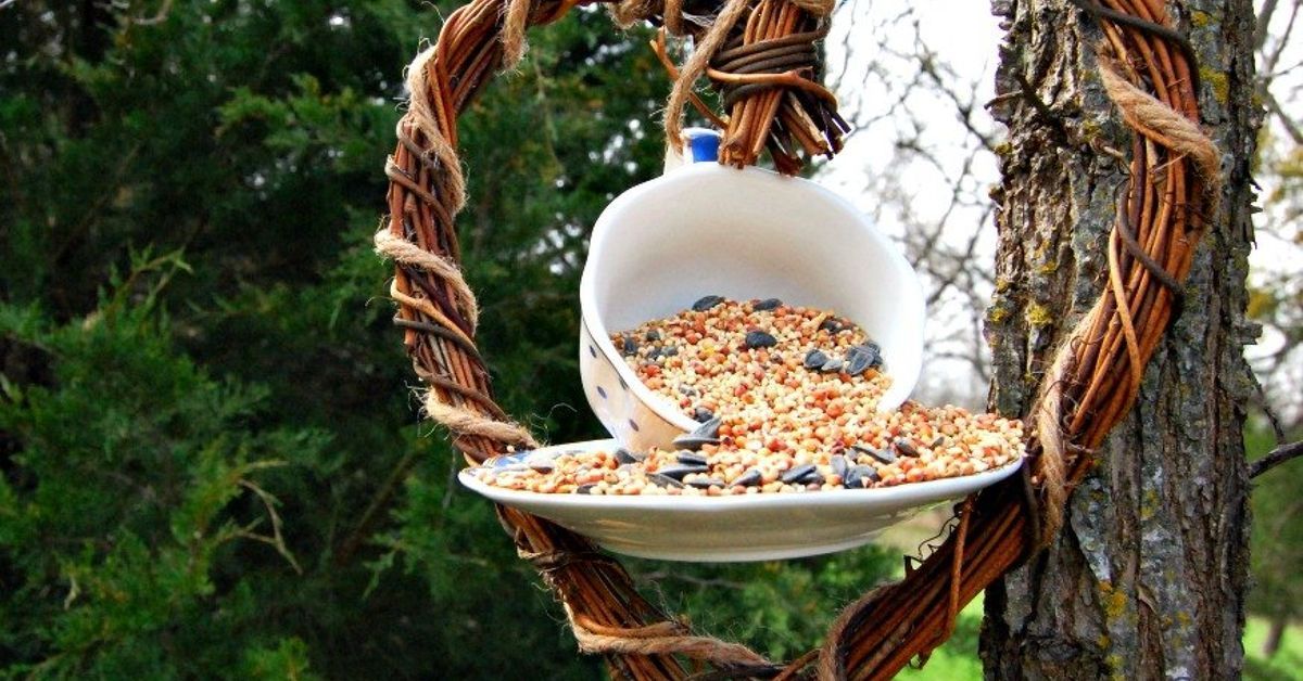 Muuta arkipäiväiset esineet omaperäisiksi linnunruokintapaikoiksi tänä talvena: vinkkejä ja käytännön neuvoja