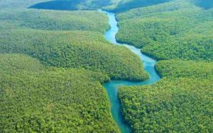 Tutkimus osoittaa, että Amazonin sydämessä ilma on saastuneempaa kuin Pekingissä tai New Yorkissa.