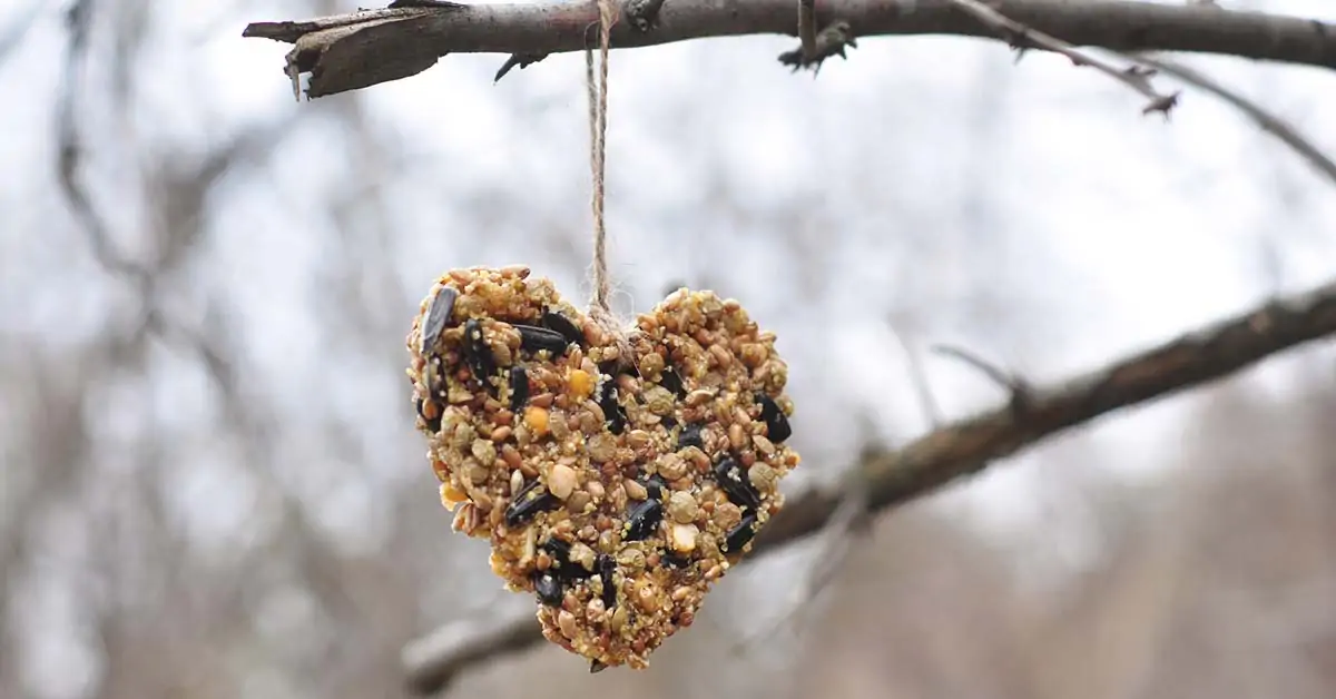 Ihanteellinen sekoitus lintujen houkuttelemiseen ja puutarhan koristeluun.