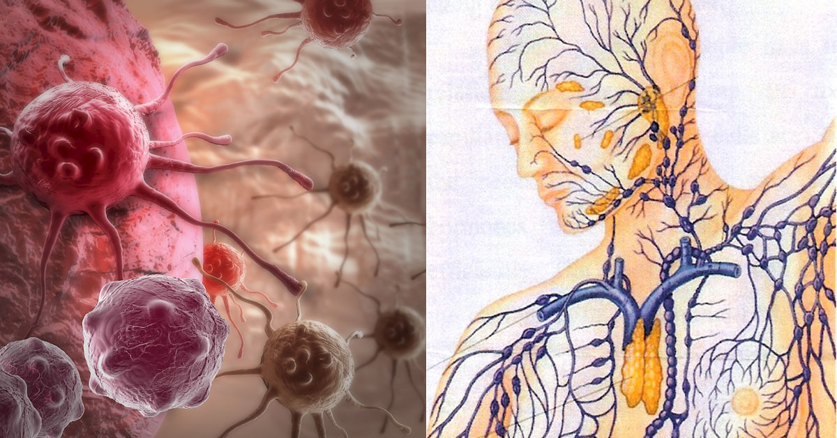 Salva Ferrer: ”Vaikeinta oli kertoa äidille”