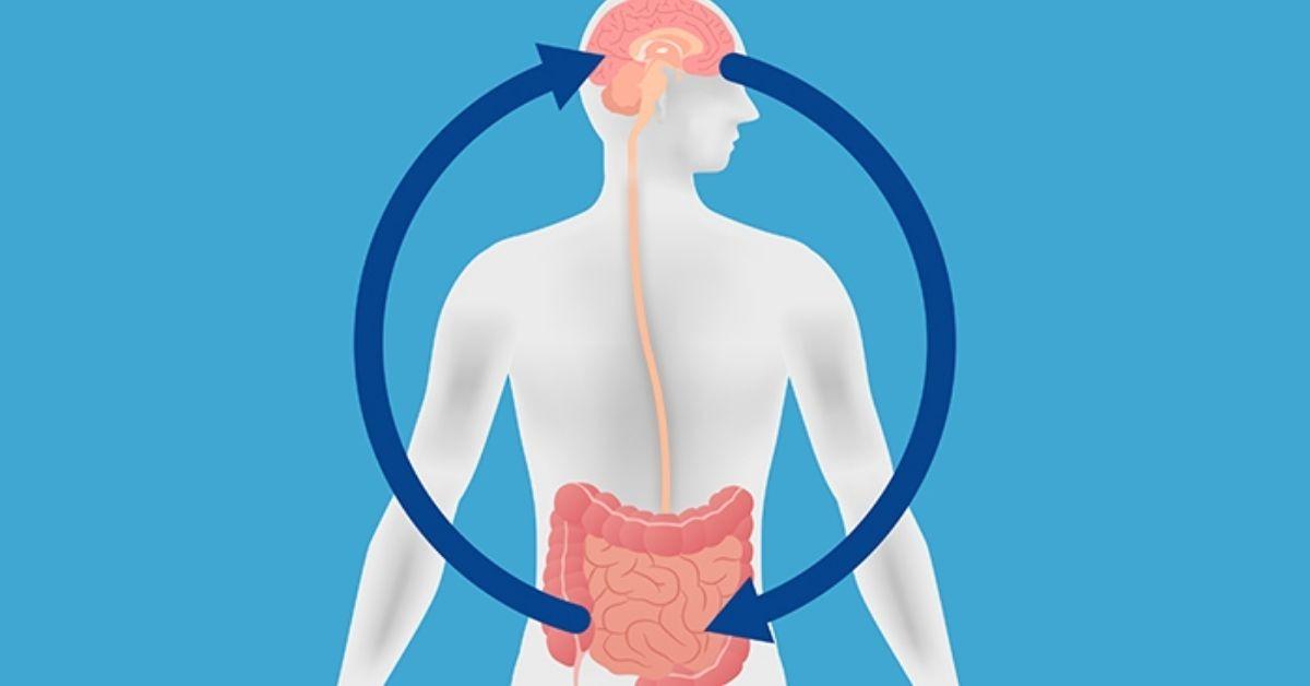 Parkinsonin taudin yhteys suolistobakteereihin tarjoaa yllättävän yksinkertaisen hoitomuodon