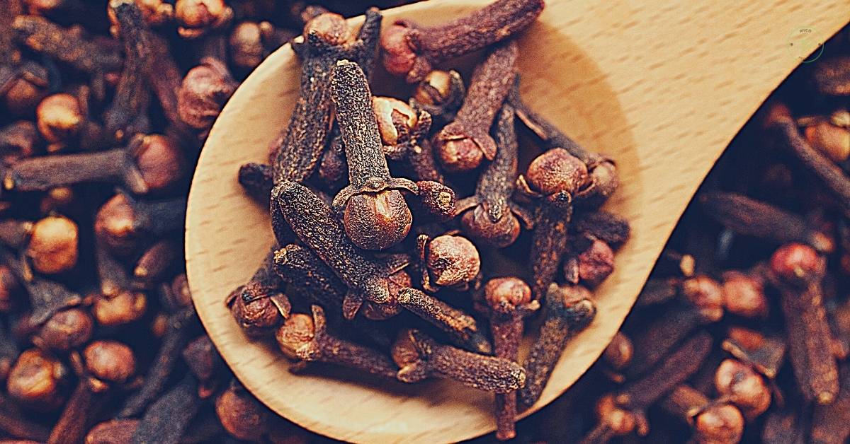 Kynsi on yllättävän tehokas eturauhasen ongelmien lievittämisessä.