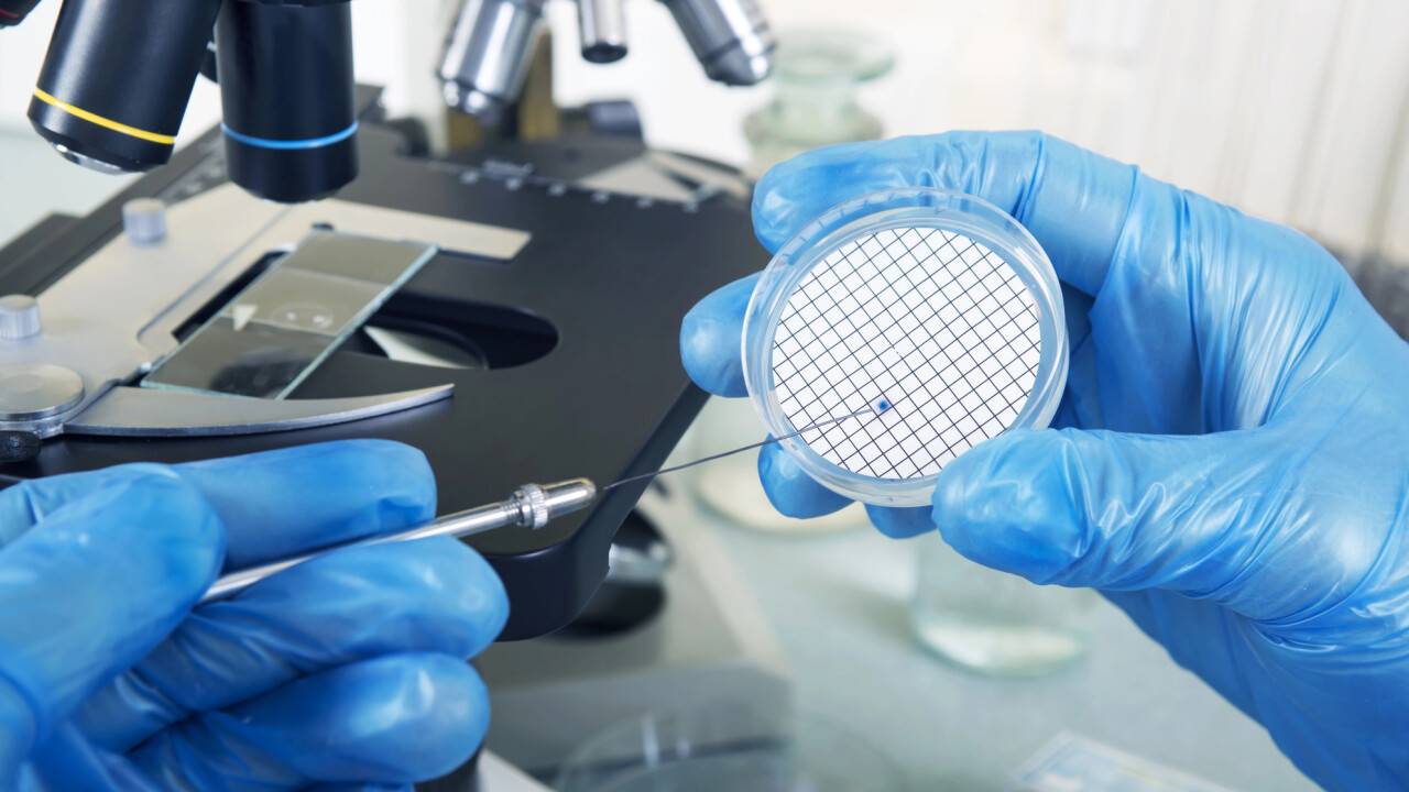 Tutkijat testaavat innovatiivista menetelmää kudosten valmistamiseksi bakteereista.