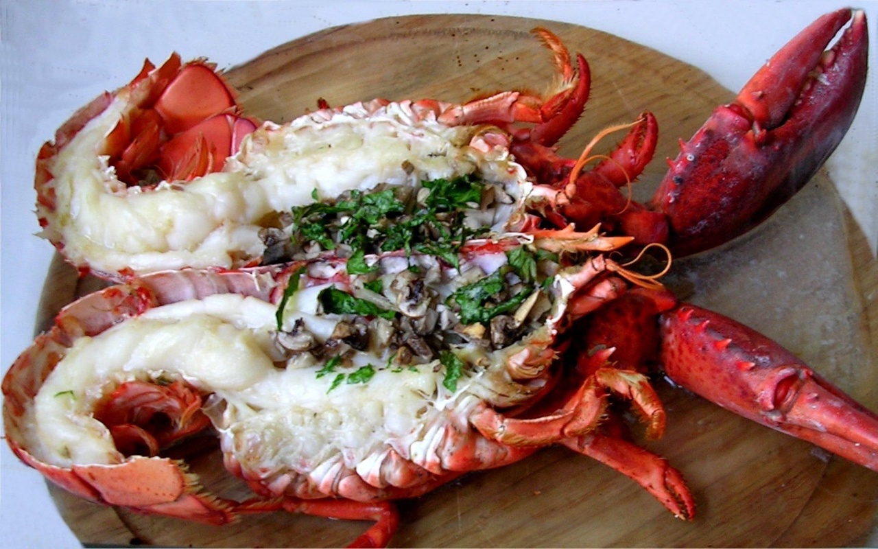 Tristan da Cunha: kuinka maailman syrjäisimmän asutuksen asukkaat taistelevat arvokkaiden hummeriensa puolesta