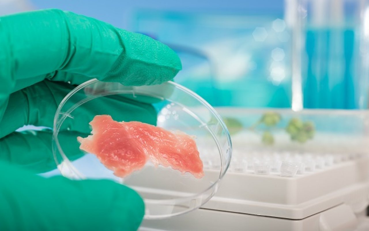 Avatessaan 50 vuotta sitten vanhentuneita lohisäilykepurkkeja tutkijat löysivät yllättävän biologisen salaisuuden.