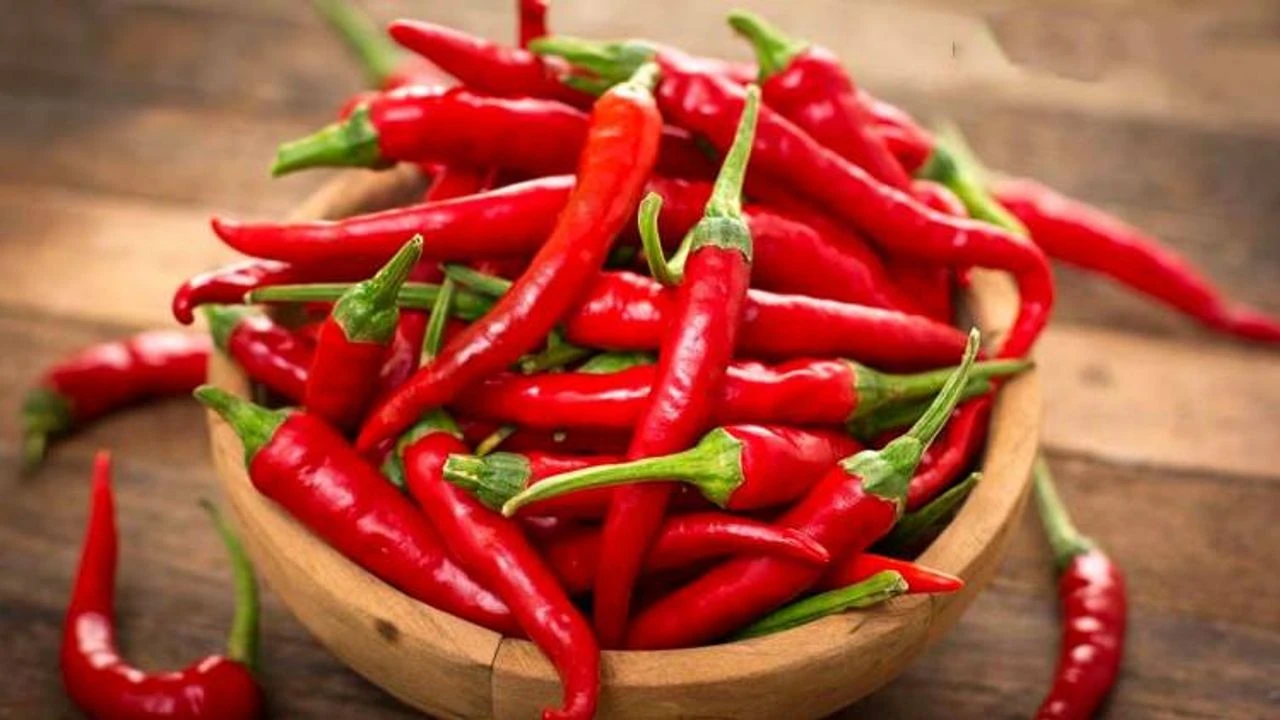 Jalkasi ovat jatkuvasti kylmät ja verenkierto on heikentynyt? Ratkaisu ei ole villasukat, vaan yksi tuote, joka lämmittää jopa kovalla pakkasella.