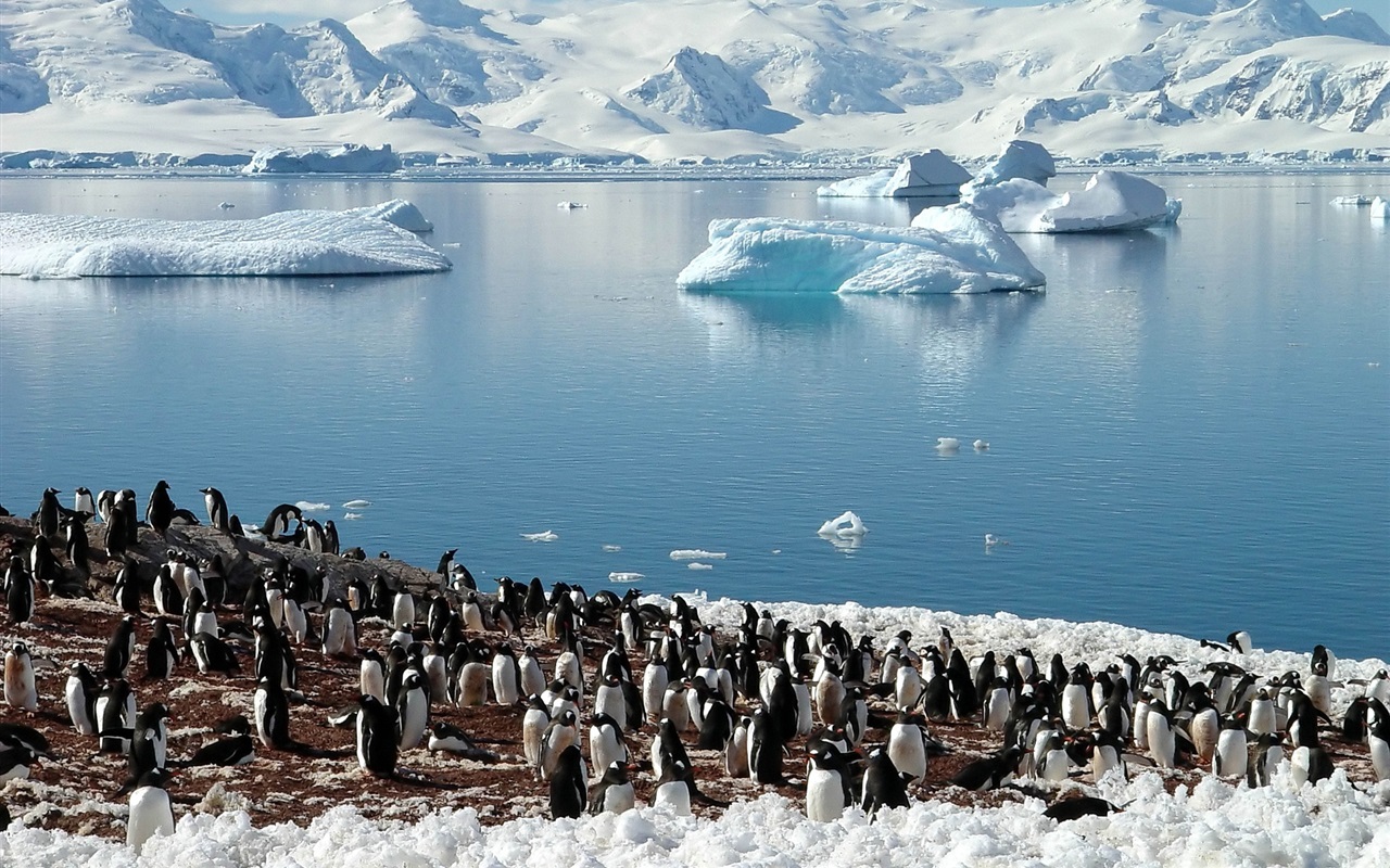 Antarktiksen ennätyksellinen jäätikön vetäytyminen huolestuttaa tutkijoita