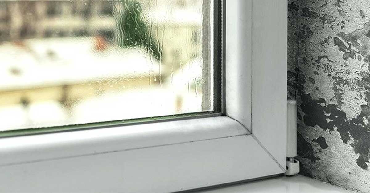 Kondenssiongelma: näin 3 euron temppu auttaa torjumaan ikkunoiden huurtumista.