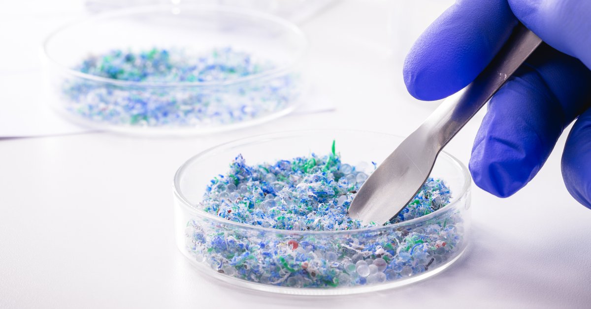 Tutkijat ovat löytäneet meressä eläviä mikrobeja, jotka syövät muovia