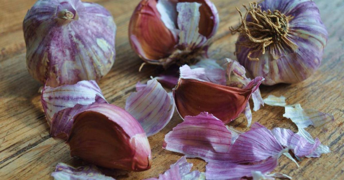 Jos sinulla on valkosipulin kuoria, sinulla on aarre: miksi ne pitäisi laittaa veteen ja mihin niitä tarvitaan?