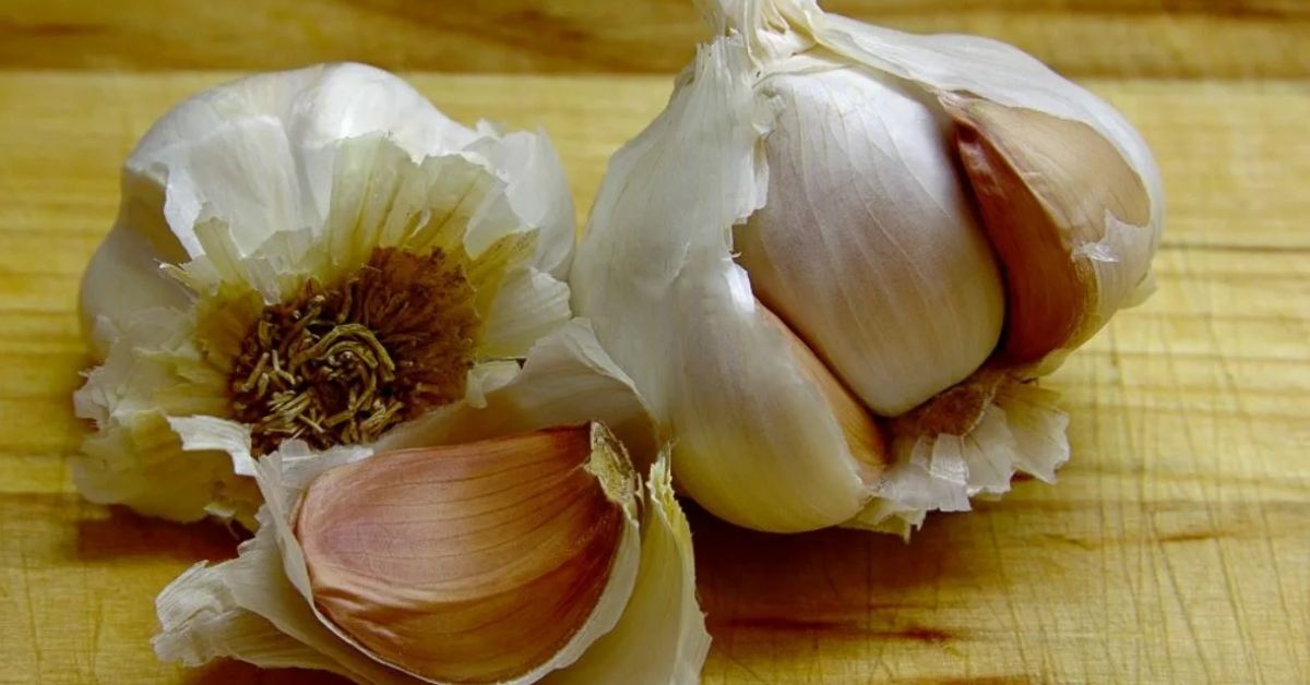 Valkosipulin kuoren ja valkoviinietikan sekoittaminen: miksi se on suositeltavaa ja mitä hyötyä siitä on