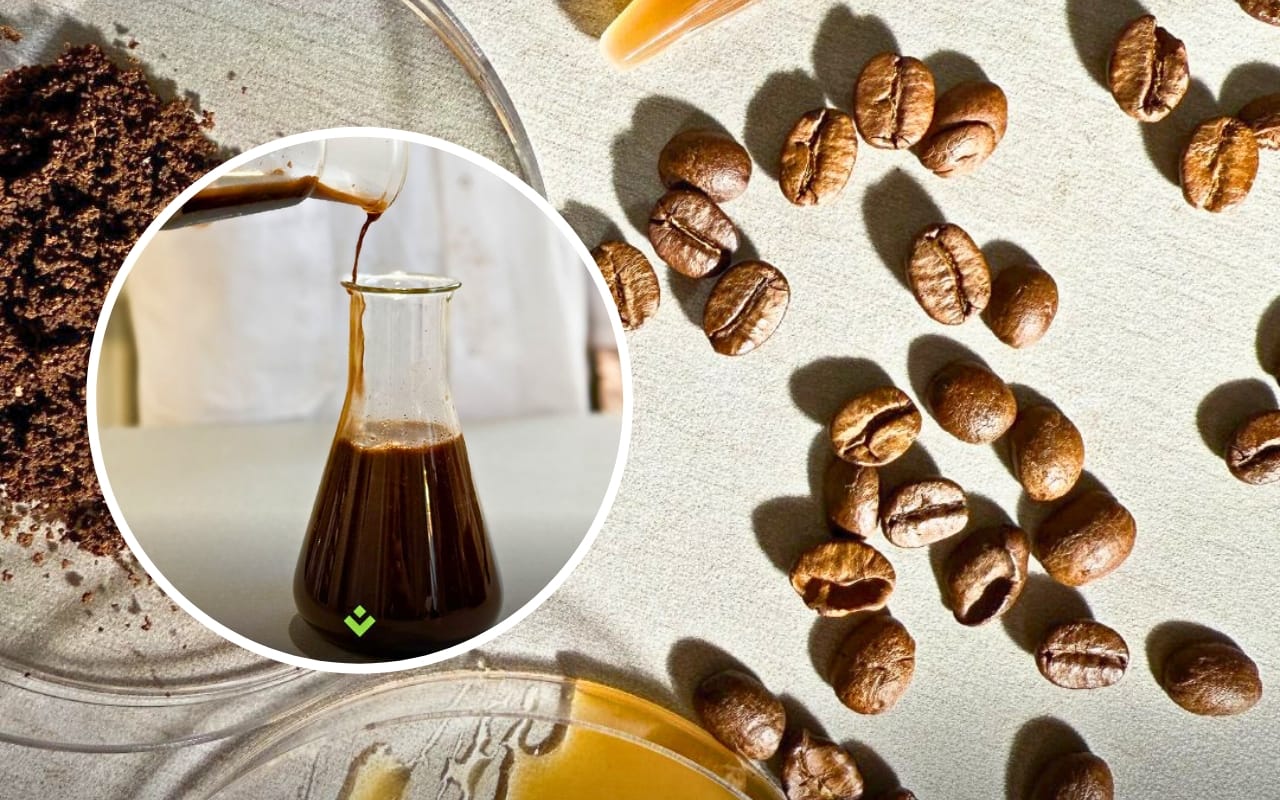 Luonnollinen vinkki: käytä kahvinporoja kosteuden ja hajujen imemiseen kotona.