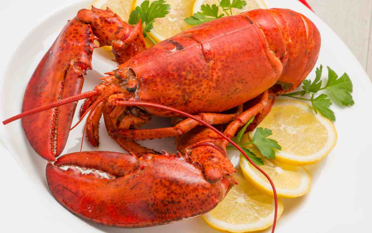 Tristan da Cunha: kuinka maailman syrjäisimmän asutuksen asukkaat taistelevat arvokkaiden hummeriensa puolesta