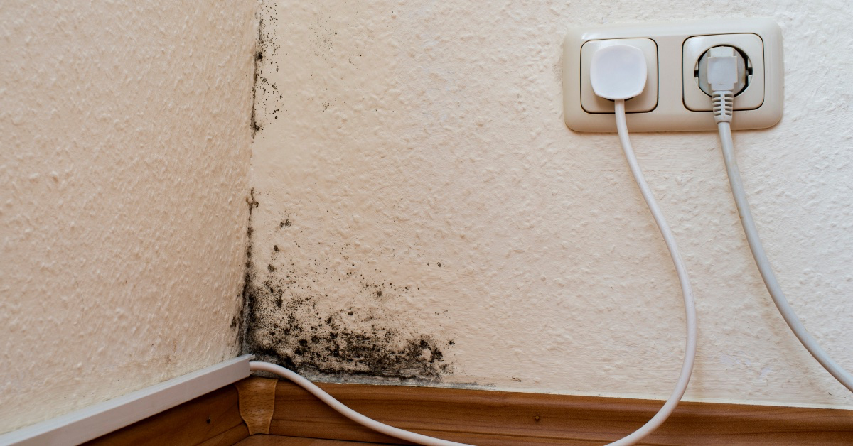 Home ei enää ole asunnossasi. Tee tämä, niin seinäsi ovat kuivat ja puhtaat.