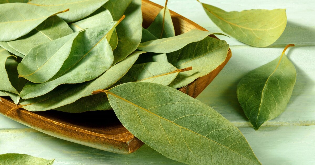 Mikä on laakerinlehden ripustamisen tarkoitus ovella?