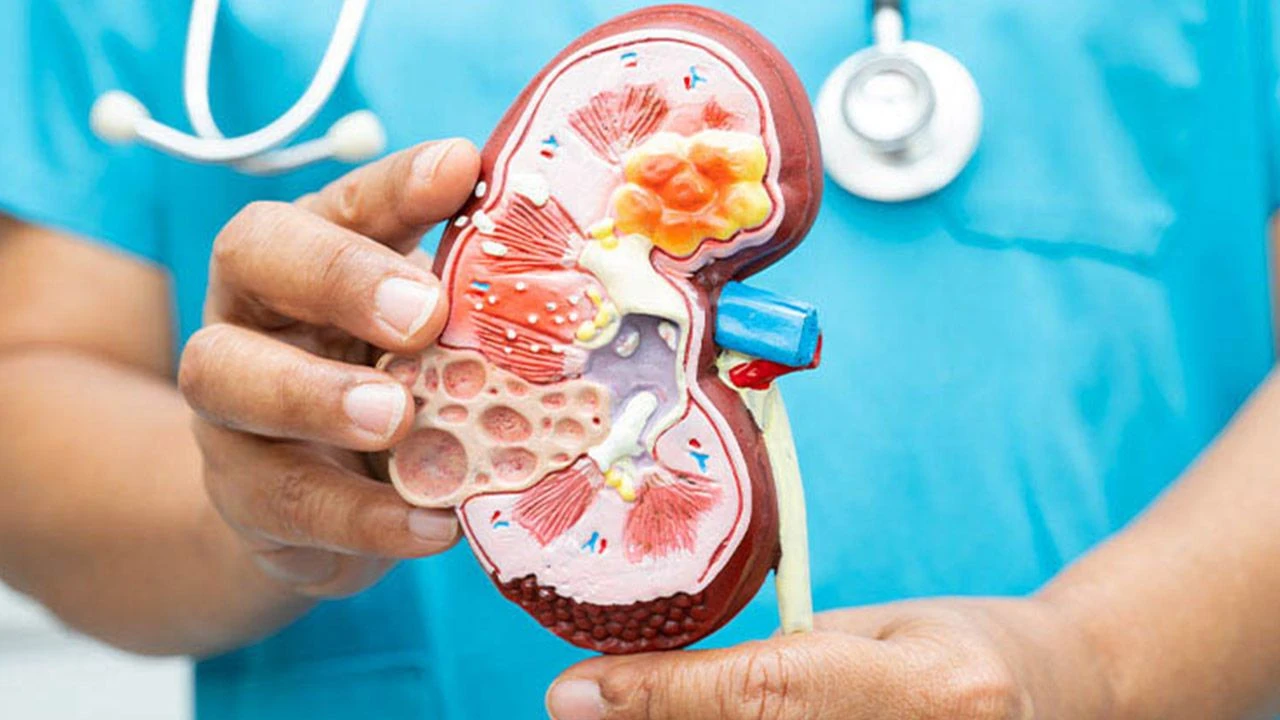 Asiantuntija: Voivatko munuaisten vajaatoiminnasta kärsivät ihmiset syödä munia?