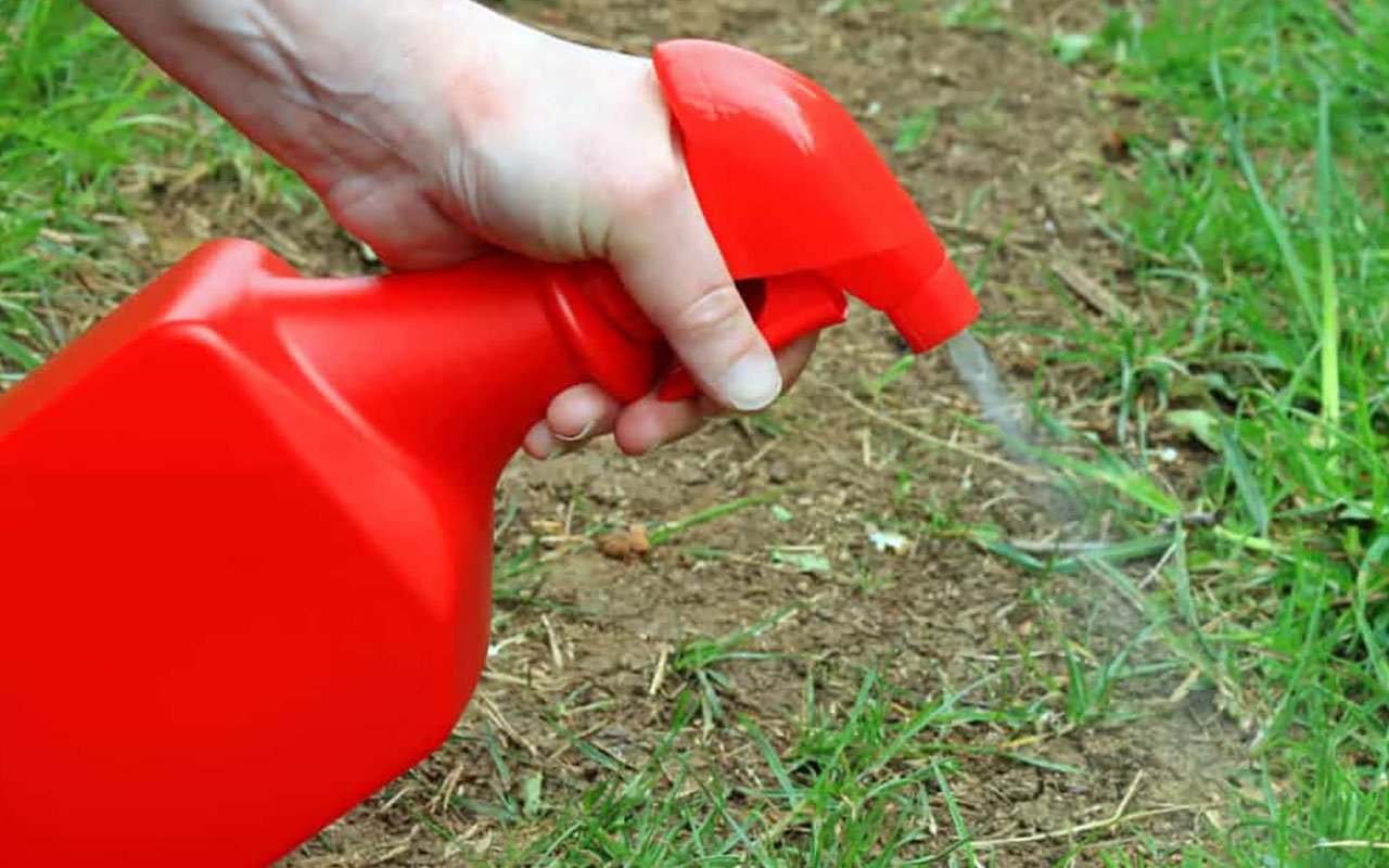 Yksinkertainen temppu, joka poistaa rikkaruohot poluiltasi ilman, että sinun tarvitsee kitkeä niitä koko talven ajan.