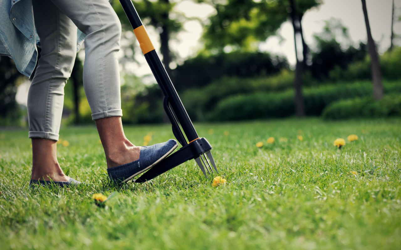 Yksinkertainen temppu, joka poistaa rikkaruohot poluiltasi ilman, että sinun tarvitsee kitkeä niitä koko talven ajan.