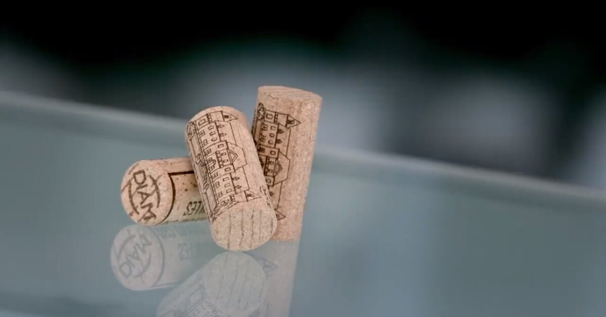 Laita tulppa jääkaappiin: mikä on sen tarkoitus ja miksi niin monet ihmiset suosittelevat sen käyttöä?