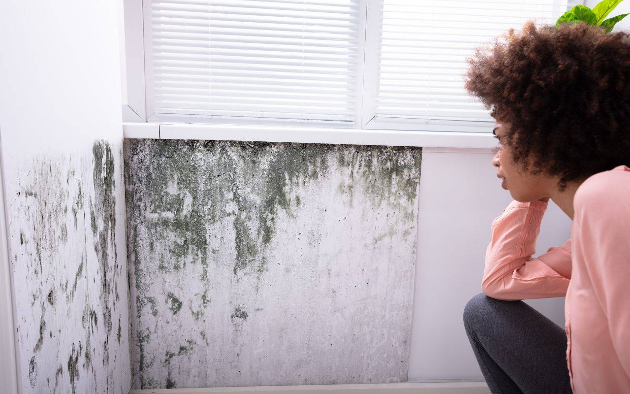 Ei ammoniakkia, ei valkaisuaineita: maalaustuote seinien kosteuden poistamiseen