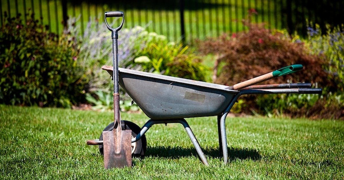 Viisi tärkeintä puutarhatyökalua talvivalmisteluihin: mitä säilyttää ja hoitaa marraskuussa