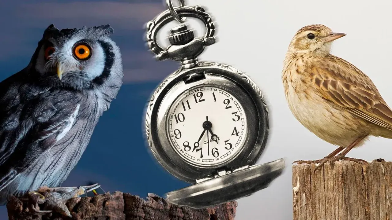 Yökyöpelit vastaan aamuvirkut: kuka työskentelee paremmin tieteen mukaan