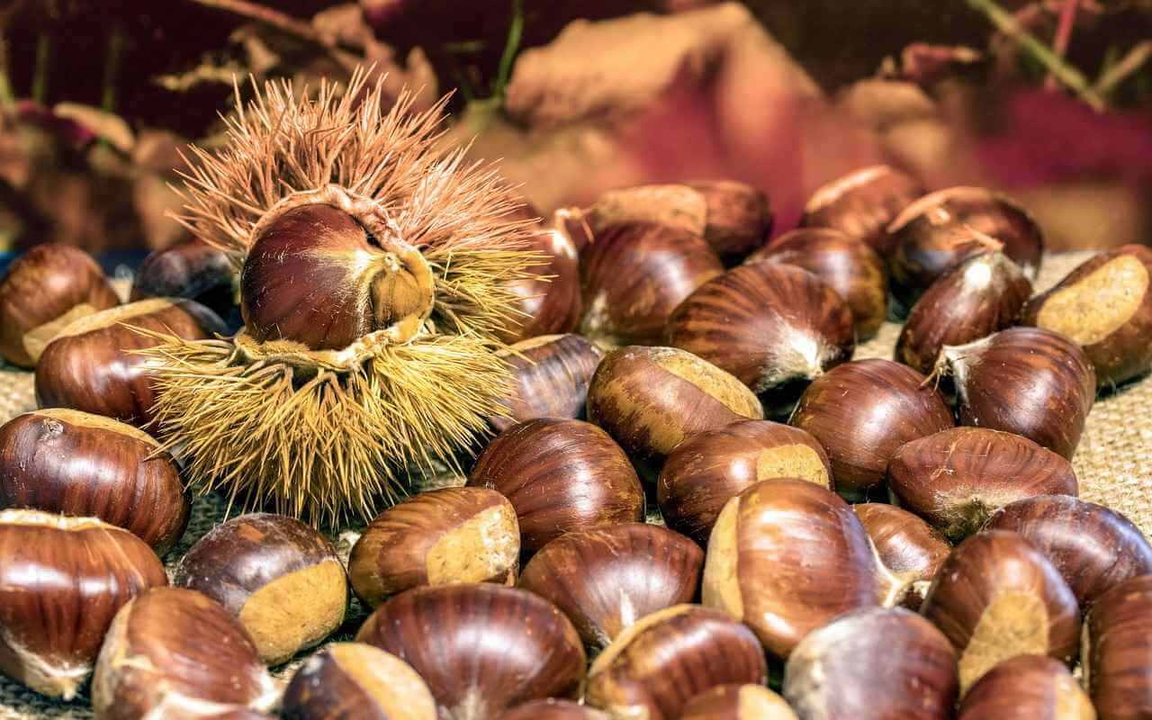 Tämä pieni hedelmä, joka on pudonnut puiden alle, karkottaa koko talven ajan koit vaatekaapeista.