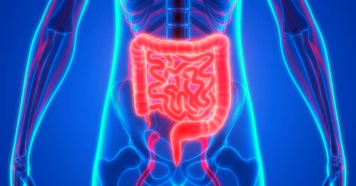 Uusi lähestymistapa probiootteihin: kantojen tuntemus auttaa optimoimaan suolisto-aivo-akselia