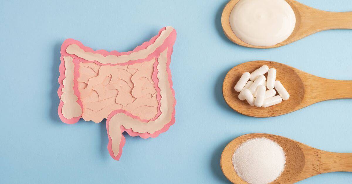 Uusi lähestymistapa probiootteihin: kantojen tuntemus auttaa optimoimaan suolisto-aivo-akselia