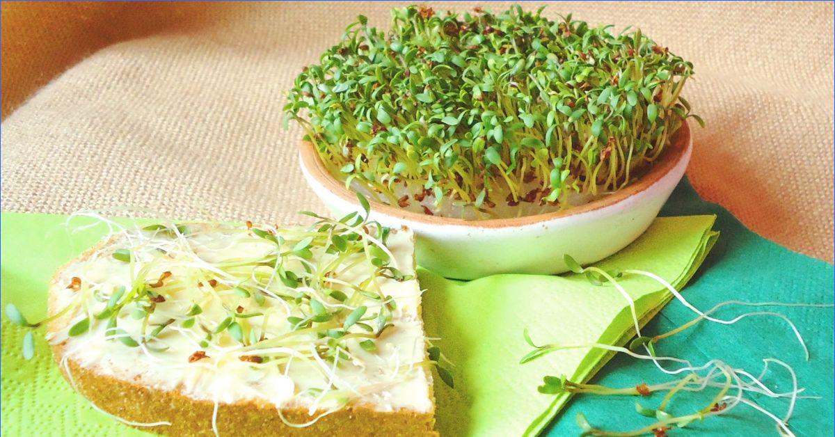 Ei mangold, ei parsakaali, ei pinaatti: tunnustettu maailman arvokkaimmaksi vihanneksiksi