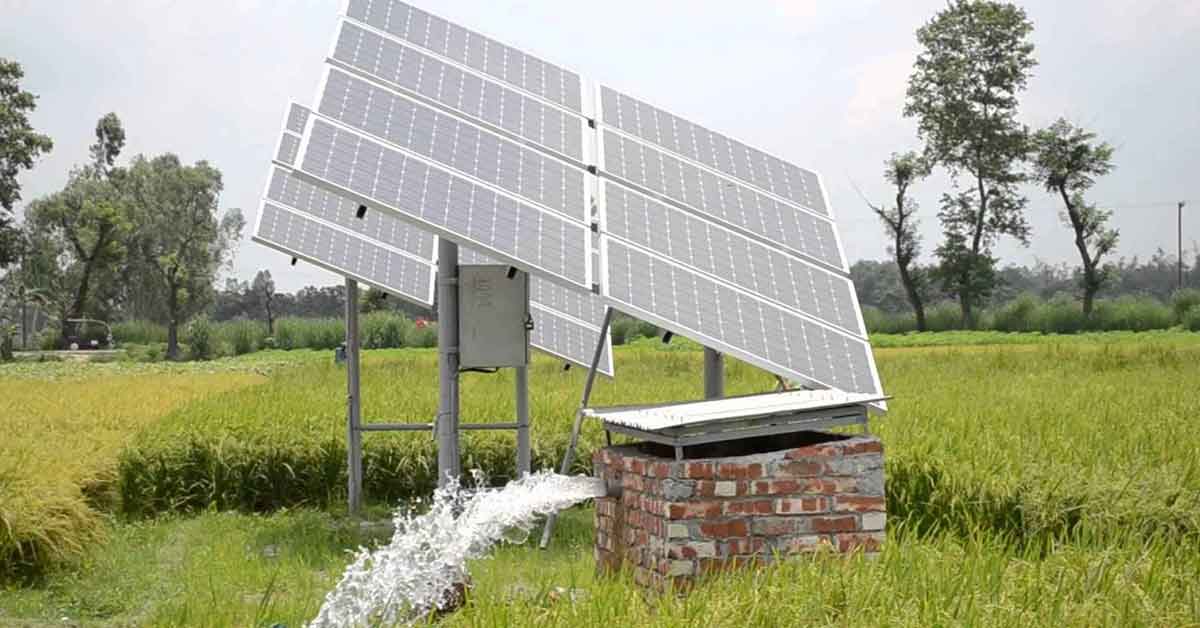 Perhe halusi elää käyttäen vain aurinkopaneeleja, kaivovettä ja puutarhaa. Kunnes suomalainen tuomioistuin otti heiltä lapset pois.