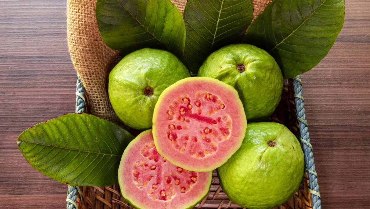 guava