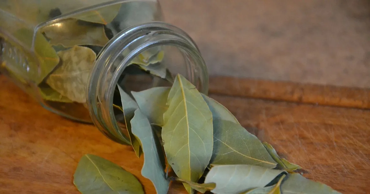 Mikä on laakerinlehden ripustamisen tarkoitus ovella?