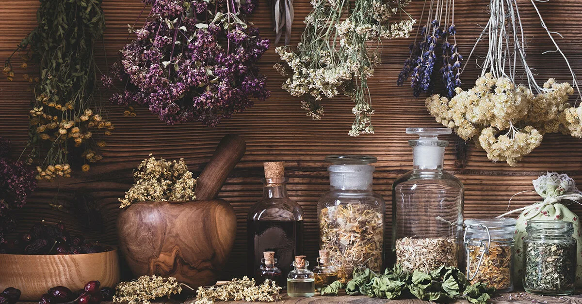 Valmistele yrtit talveksi: tehokkaat kuivausmenetelmät maun ja aromin säilyttämiseksi