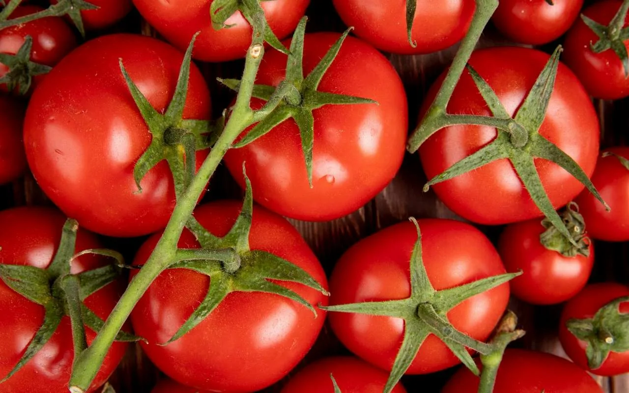Väitöskirja paljastaa maatalouden ”punaisen kullan”: tomaattijätteet voivat pidentää muiden tuotteiden säilyvyyttä