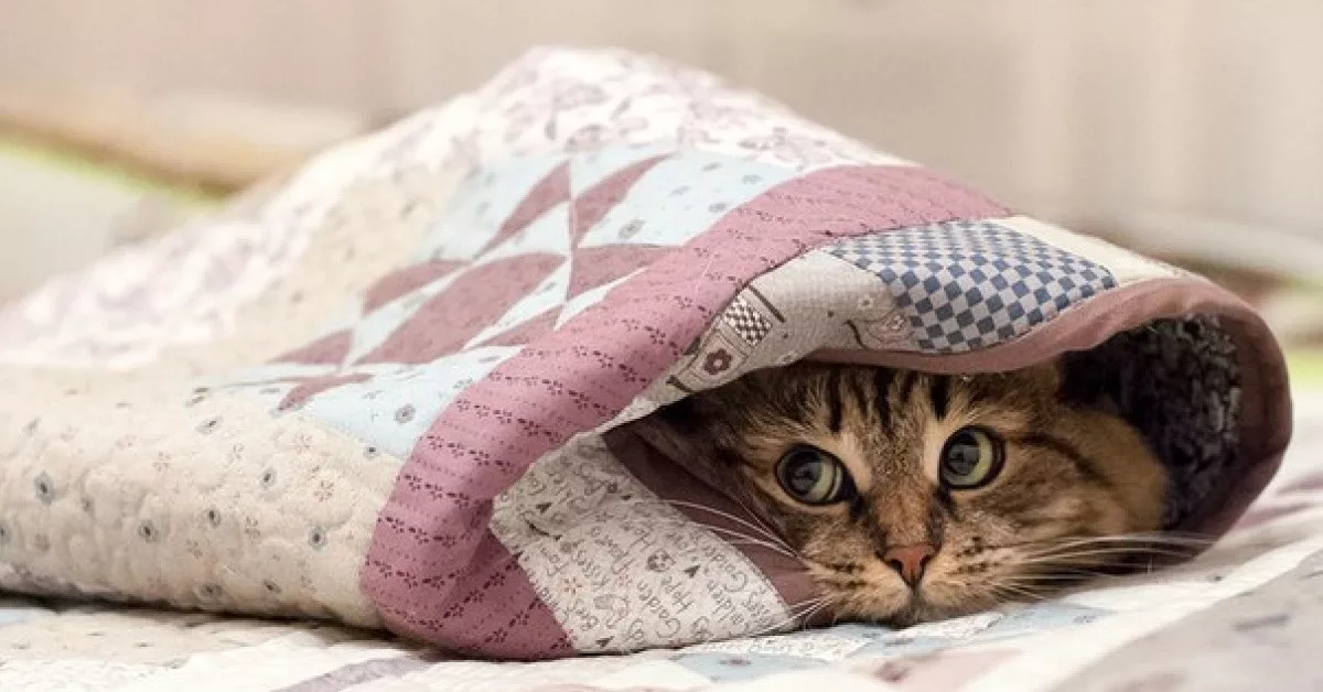 Vuoteen 2026 mennessä peitot ovat historiaa; tämä uusi, paljon tyylikkäämpi, mukavampi ja käytännöllisempi vaihtoehto on valloittamassa yhä useampia suomalaisia perheitä.