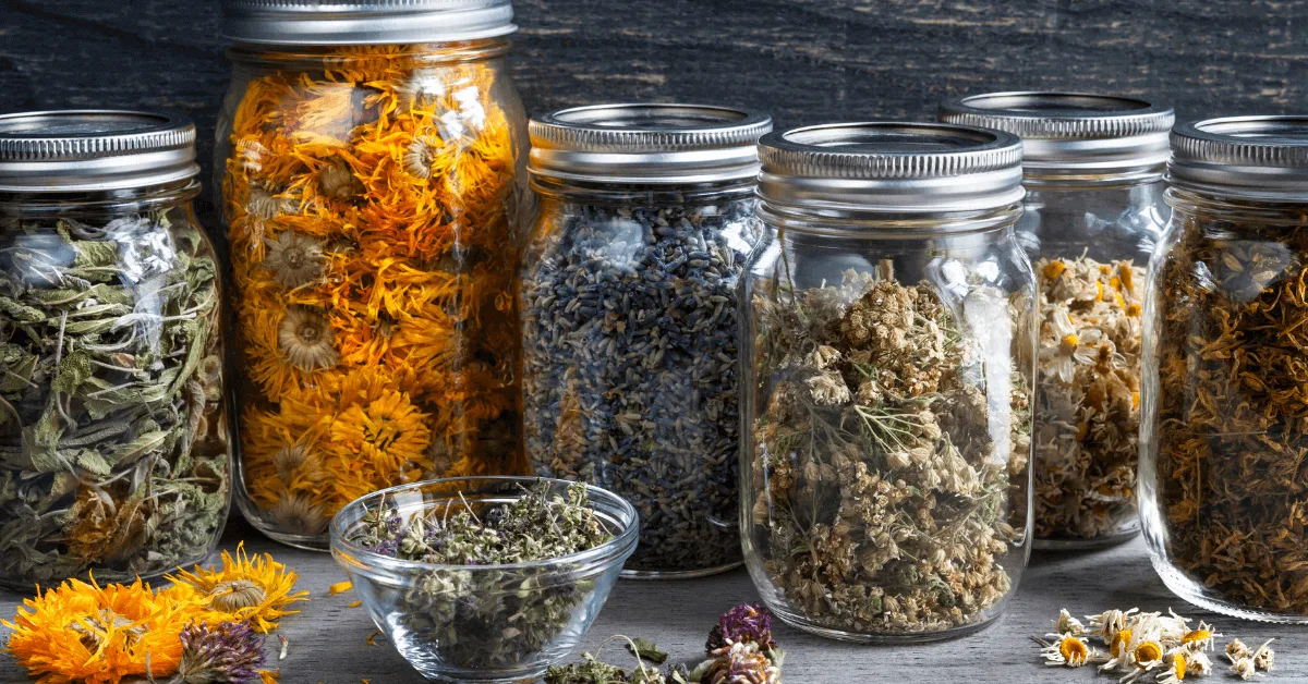 Valmistele yrtit talveksi: tehokkaat kuivausmenetelmät maun ja aromin säilyttämiseksi