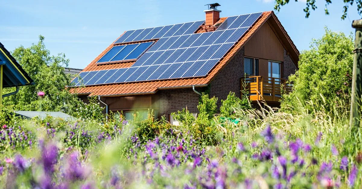 Perhe halusi elää käyttäen vain aurinkopaneeleja, kaivovettä ja puutarhaa. Kunnes suomalainen tuomioistuin otti heiltä lapset pois.